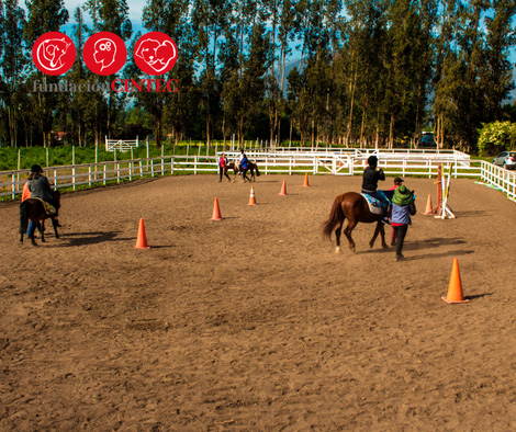 Diplomado en Equinoterapia
