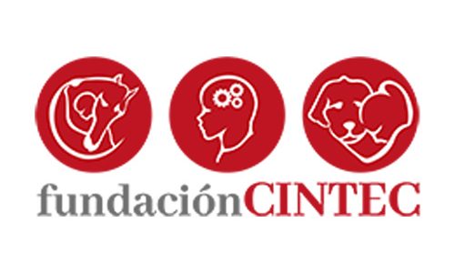 miniatura del curso