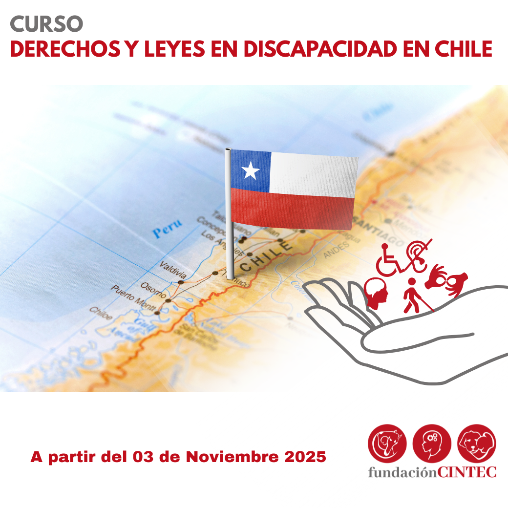 miniatura del curso