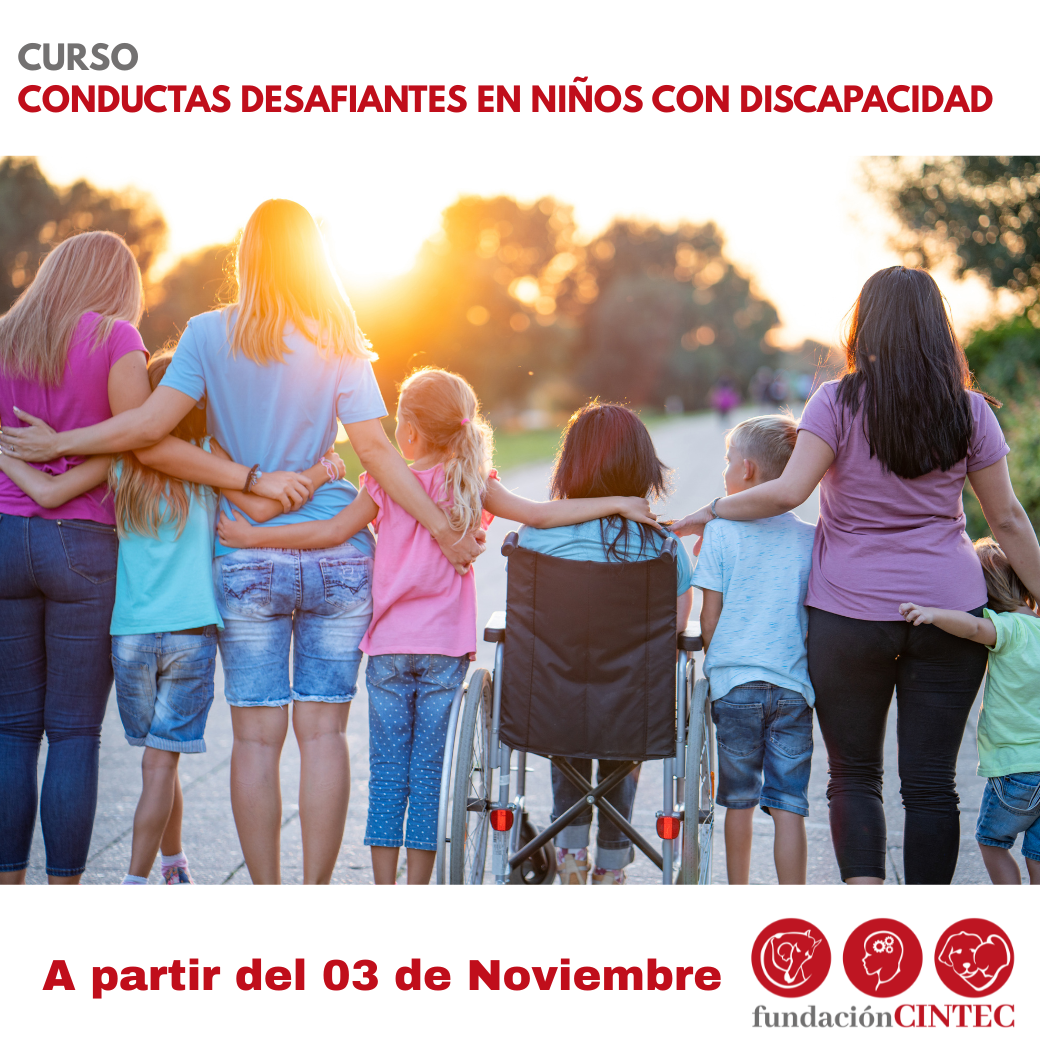 miniatura del curso