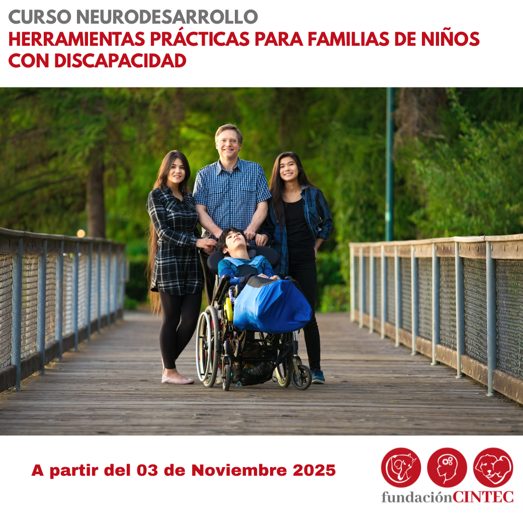 miniatura del curso