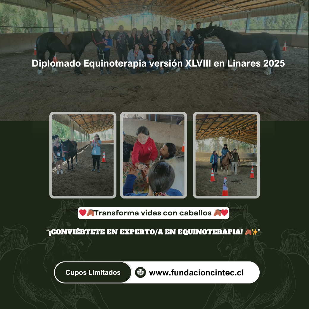 miniatura del curso